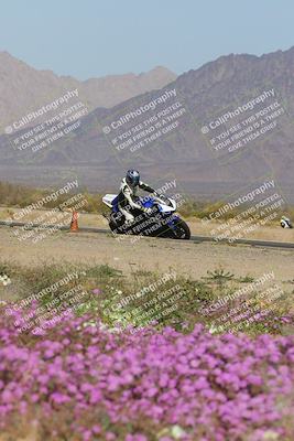 media/Feb-04-2023-SoCal Trackdays (Sat) [[8a776bf2c3]]/Turn 15 Inside Blooming (1050am)/